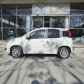 FIAT Panda 1.2 8v 69CV LOUNGE BUSINESS